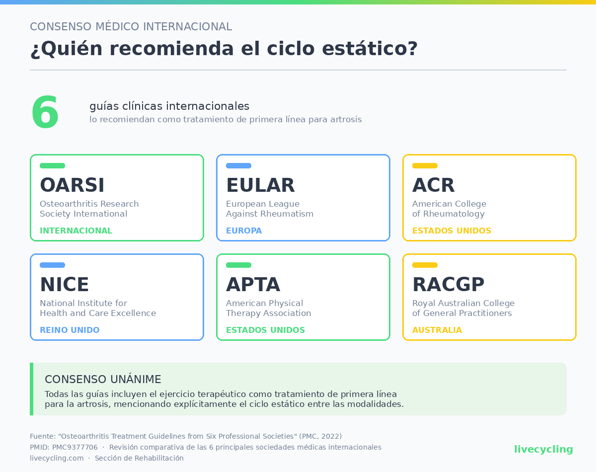 Consenso médico internacional: 6 guías clínicas (OARSI, EULAR, ACR, NICE, APTA, RACGP) recomiendan el ciclo estático como tratamiento de primera línea para artrosis