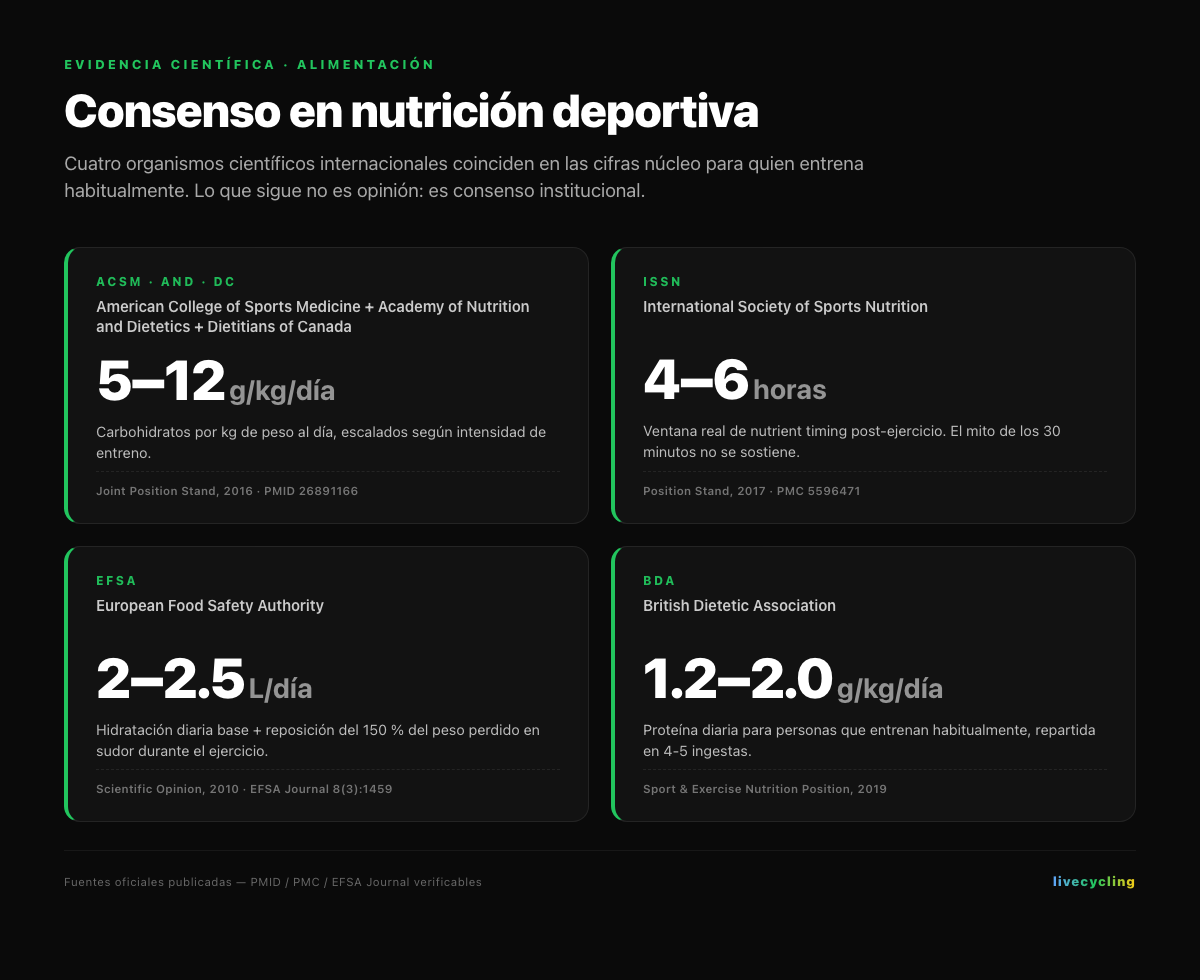 Consenso científico en nutrición deportiva: 4 organismos internacionales (ACSM, ISSN, EFSA, BDA) coinciden en carbohidratos 5-12 g/kg/día, proteína 1.2-2.0 g/kg/día, ventana de recuperación 4-6 horas e hidratación 2-2.5 litros/día
